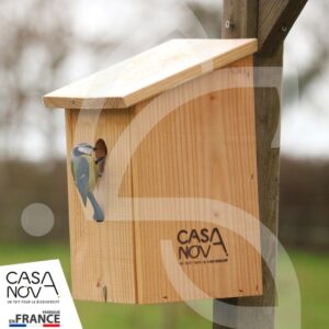 CASANOVA