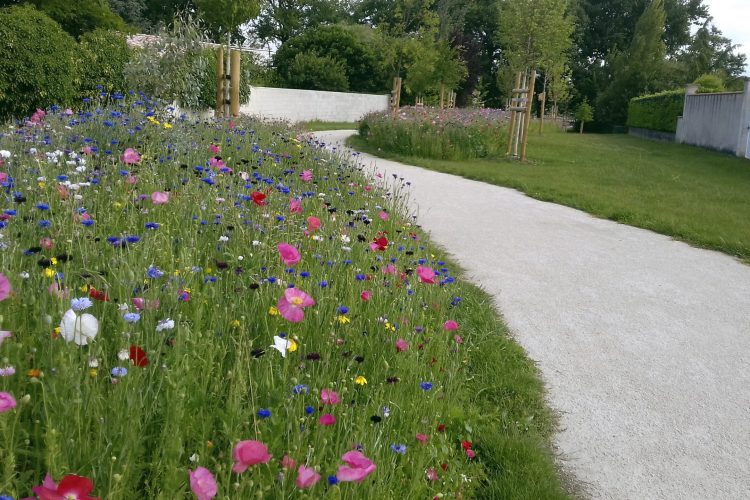 p.10-11-4- FLEURIR DES ESPACES VERTS URBAINS-V2 pour raccord